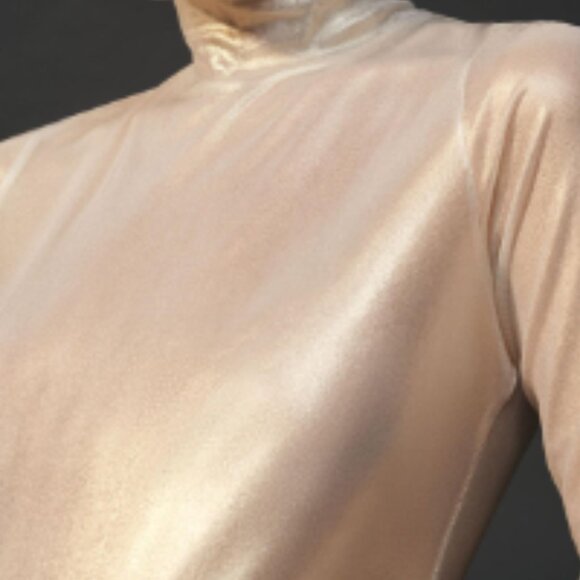 Brand New By Anthropologie Mesh Turtleneck Top - Picture 7 of 7